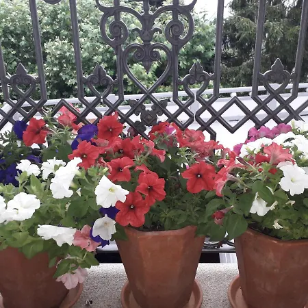 Casa Estarque Landsted