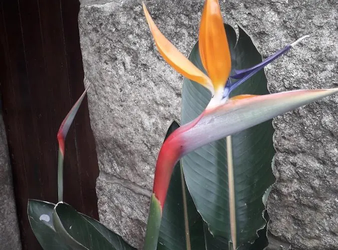 カントリーハウス Casa Estarque