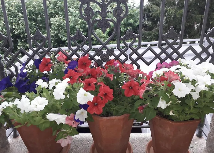 Casa Estarque Летний дом